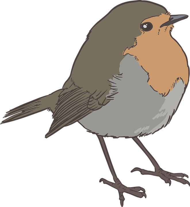 Sparrow Png 17, Buy Clip Art - Robin Bird Png Black And White Transparent Png (661x720), Png Download