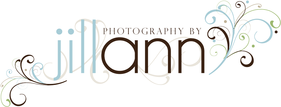 Jillanna Jillann Jillanne Jillann Elise - Photography Clipart (953x363), Png Download