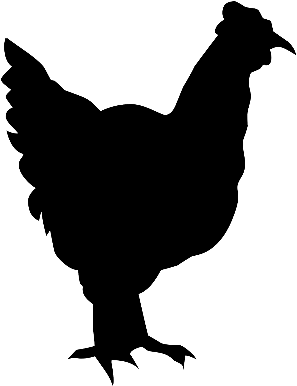 Hummingbird Drawing Silhouette 17, Buy Clip Art - Silueta De Pollo Png Transparent Png (561x720), Png Download