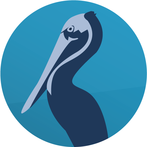 Brown Pelican Clipart (645x633), Png Download