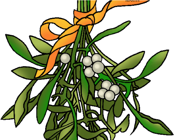 Branch Clipart Mistletoe - Png Download (640x480), Png Download