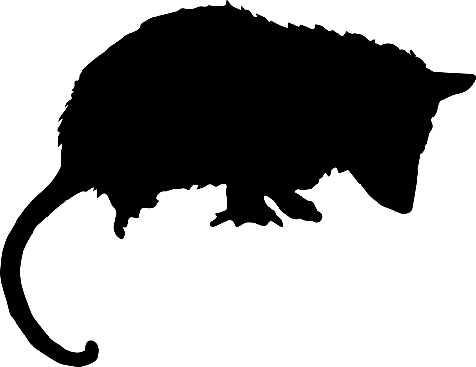Opossum Mammal Silhouette Svg - Opossum Silhouette Clipart (981x756), Png Download