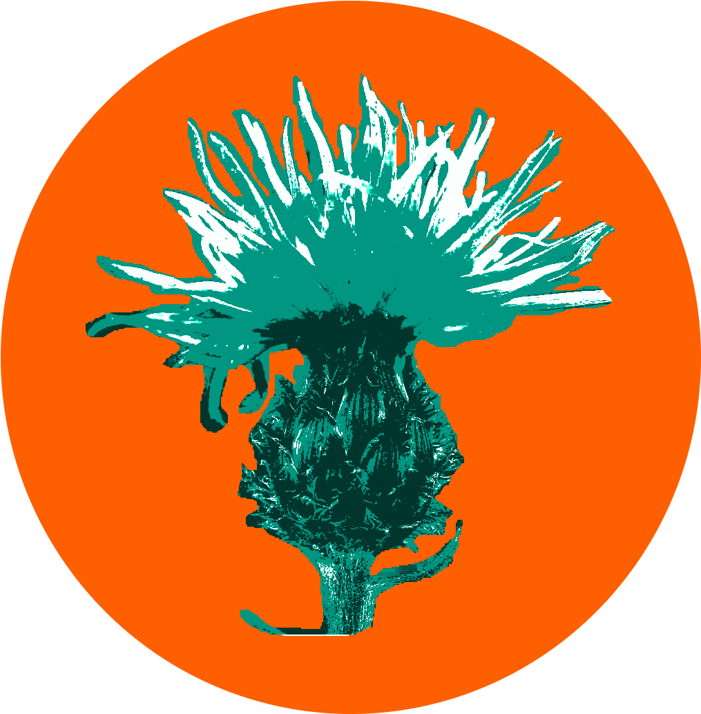When Attempting To Eradicate Noxious Weeds, Best Efforts - New York City Clipart (1044x1044), Png Download