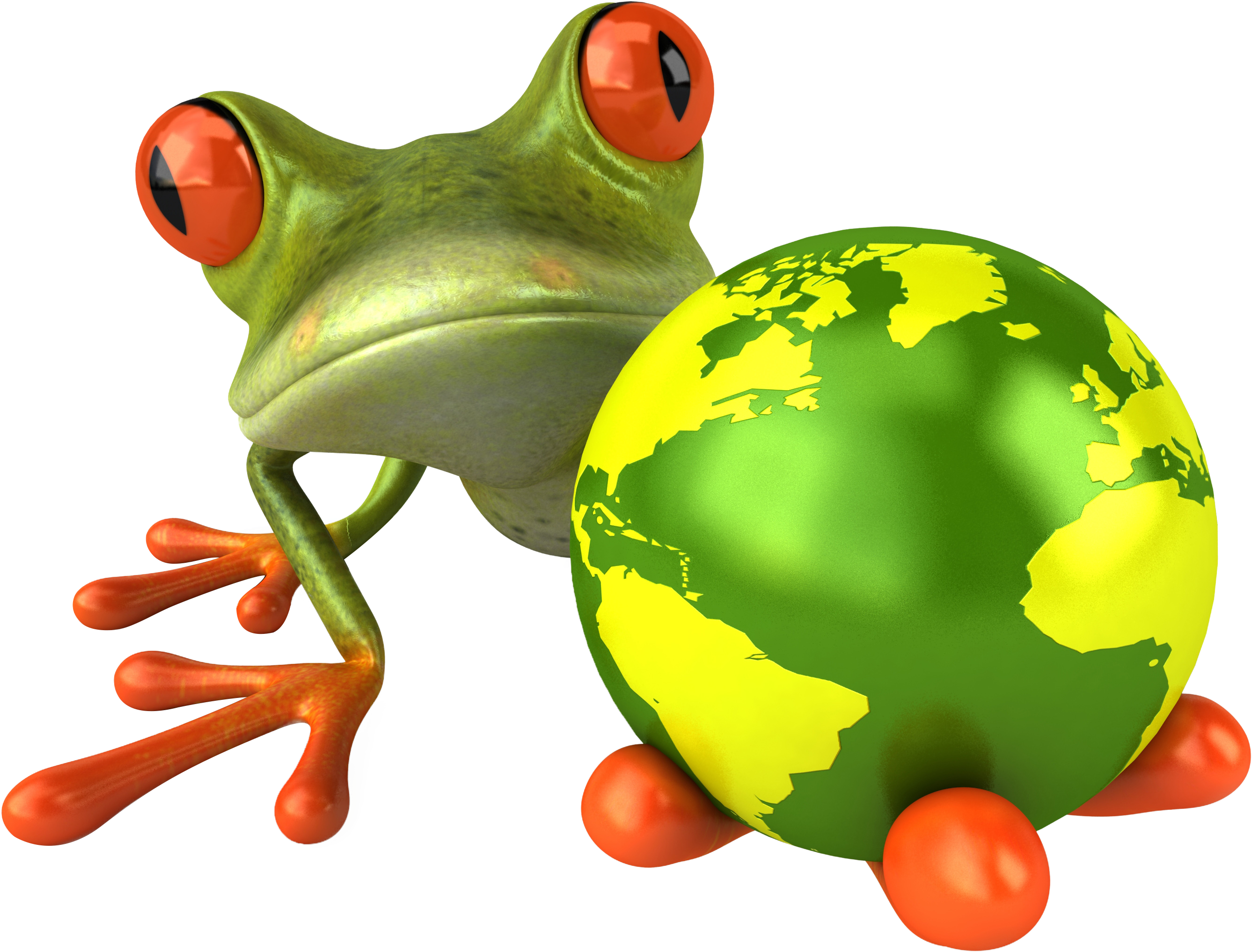 Frog - Foundation Science For Iit-jee/ Neet/ Ntse/ Olympiad Clipart (800x600), Png Download