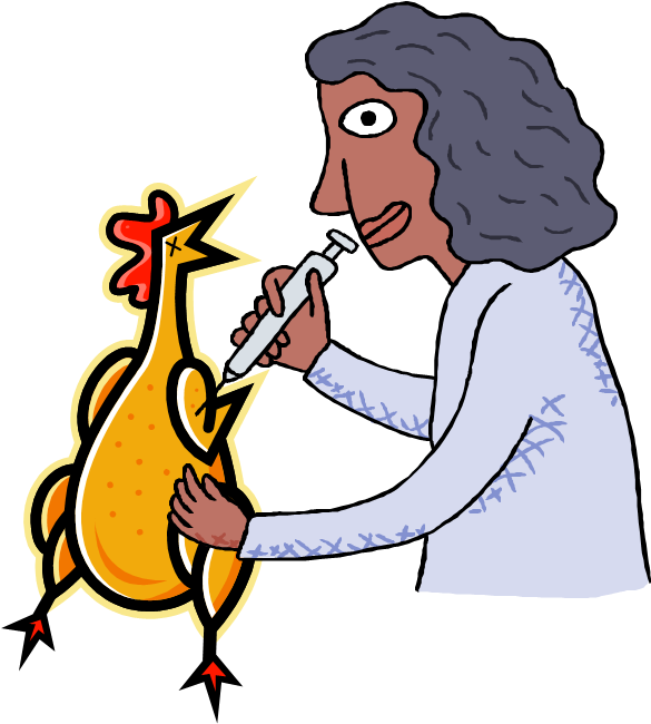 Or A Little Piece I Have Titled "chicken Deep-throating - Human Body Trivia Fact Clipart (673x690), Png Download