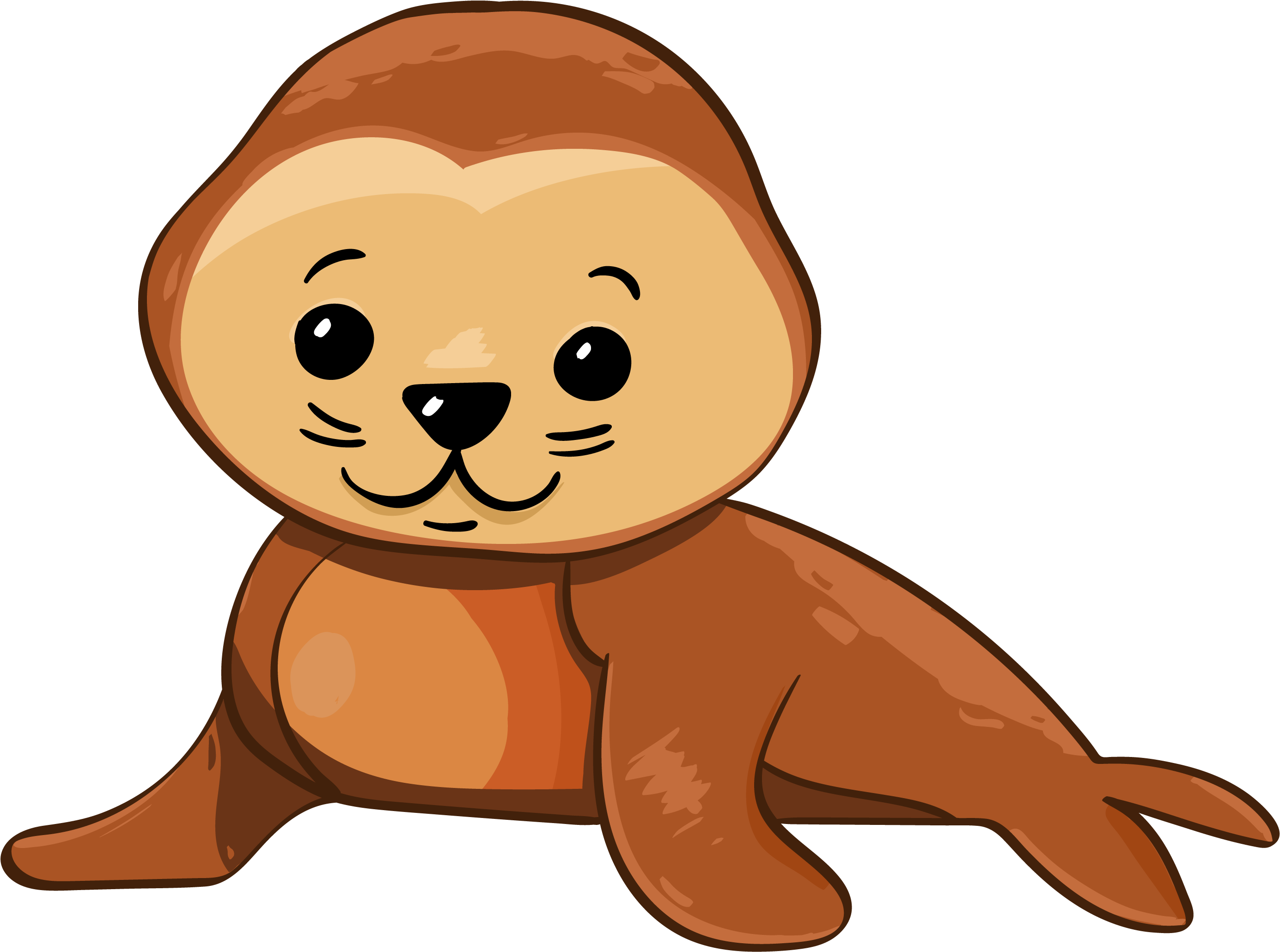 Cute Baby Seal Infant Clipart Full Size Clipart (1660660) PinClipart