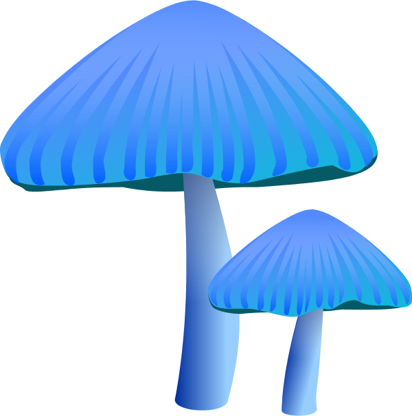 Orange Mushroom - - Blue Mushroom Clip Art - Png Download (600x606), Png Download