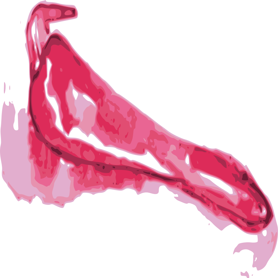 Download Red Pepper Clipart Free Red Pepper Png Png Transparent Png (900x900), Png Download