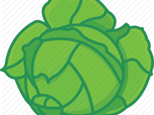 Cabbage Clipart Salad - Cabbage Icon Transparent - Png Download (640x480), Png Download