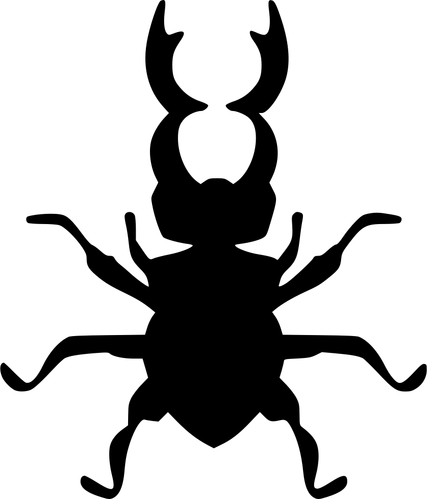 Beatle Colorado Nature Icon Free Download Png Svg Round - Beetle Clipart (840x980), Png Download