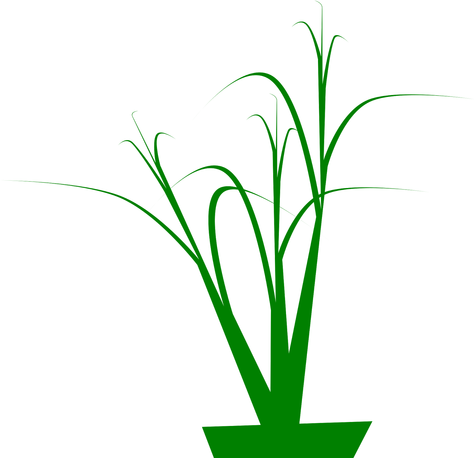 4) Grassy Looking Curves With Corner Node Tips, 5) Clipart (1600x1600), Png Download