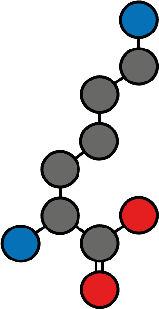 Lysine N = 5 (1 - Inositol Clipart (422x729), Png Download