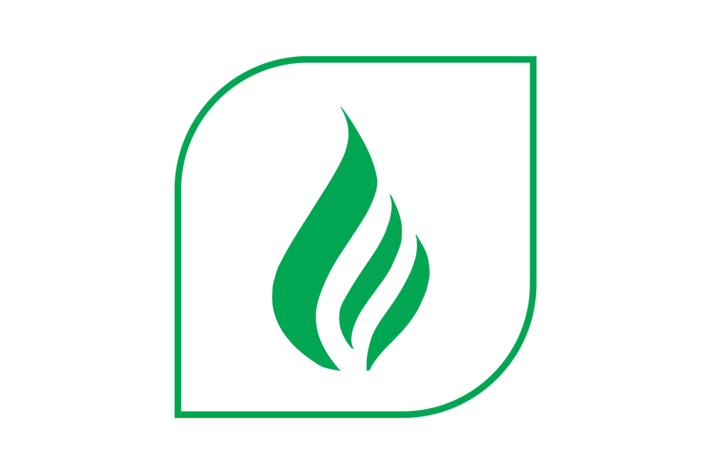 Leafy Corn Silage High Fiber Digestibility - Maize Clipart (1000x667), Png Download