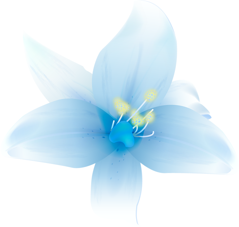 Large White Lilium Clipart M=1366495200 - Beautiful Flowers In Png Transparent Png (800x737), Png Download