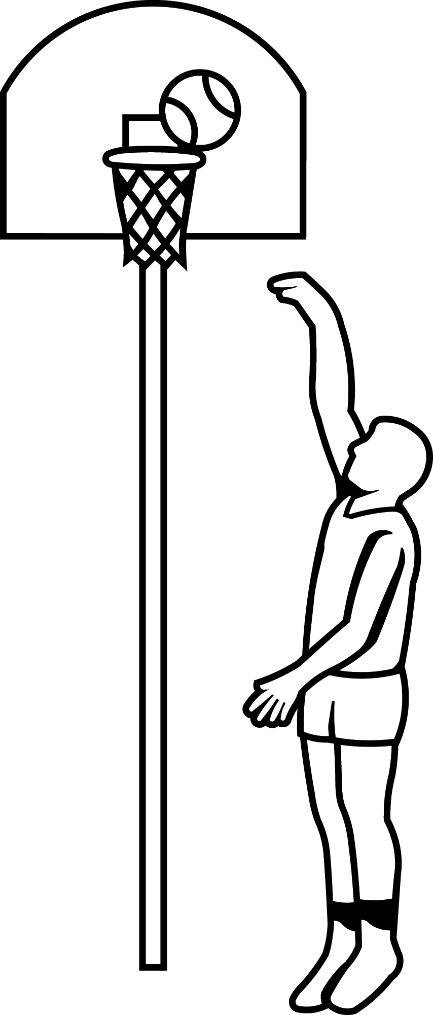 Svg Transparent Sports Leisure Ii Clipart (854x2000), Png Download