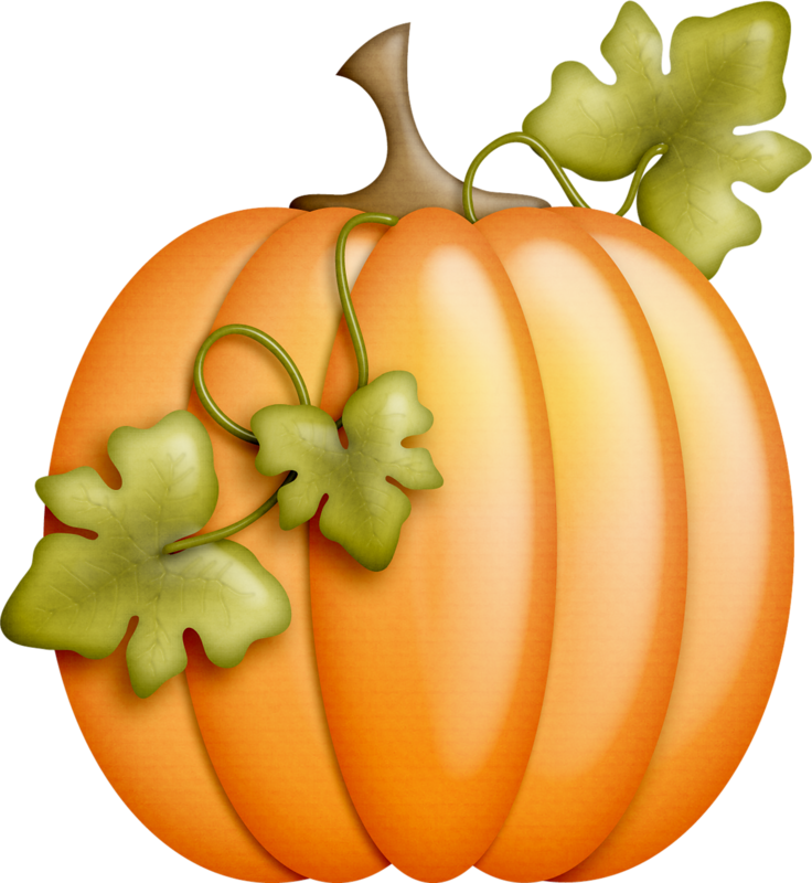 Фотки Fall Clip Art, Solange, Image Digital, Fall Cards, - Clip Art Thanksgiving Pumpkin - Png Download (736x800), Png Download