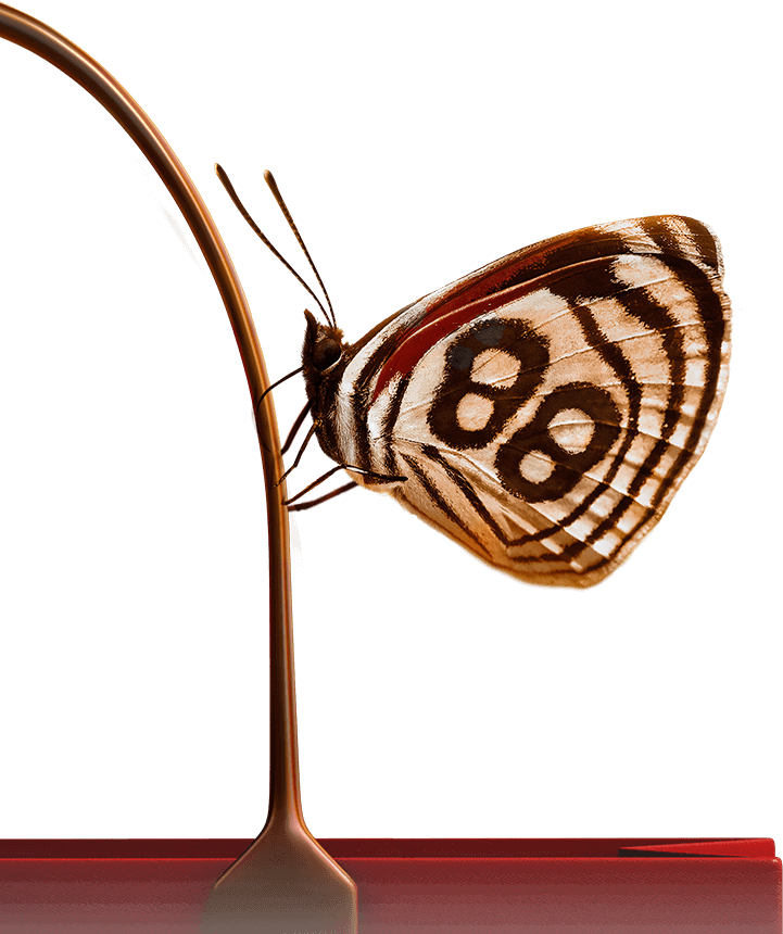 Butterfly Butterfly - Changi Airport Singapore Clipart (721x860), Png Download