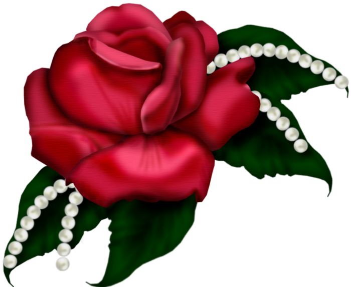 Bed Of Roses - Clip Art - Png Download (700x573), Png Download
