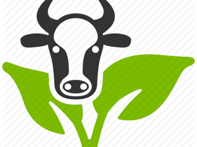 Cow Boss Clipart (640x480), Png Download