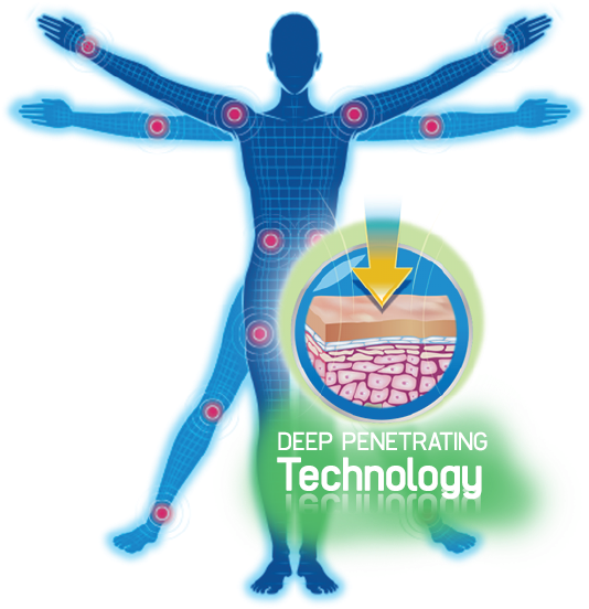 Product - Pain Clipart (560x560), Png Download