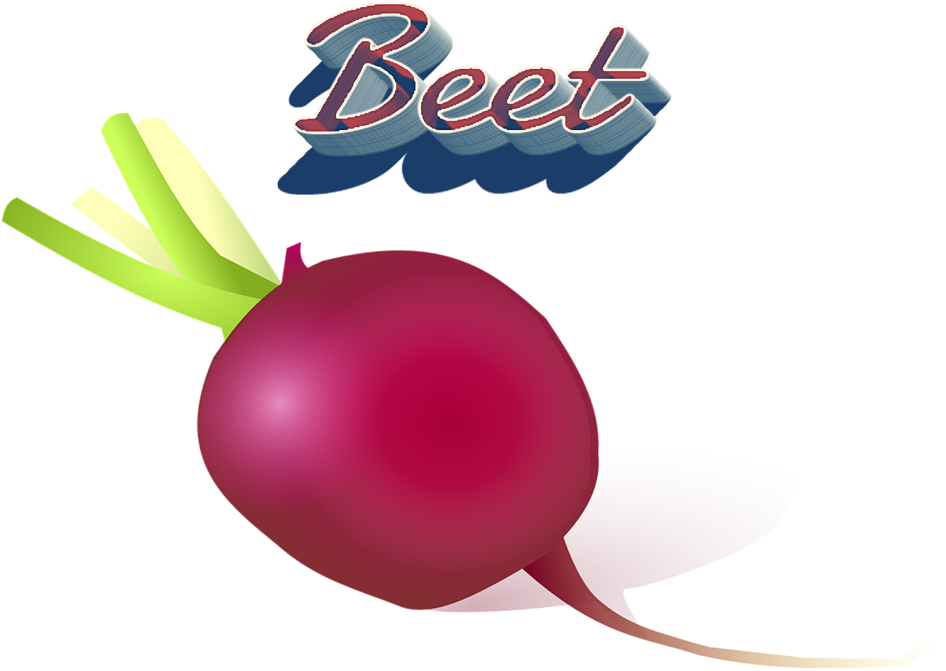 Beet Png Clipart - Portable Network Graphics Transparent Png (1332x944), Png Download