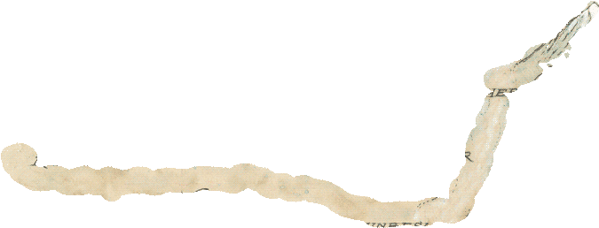 Clipart Info - Wood - Png Download (900x489), Png Download