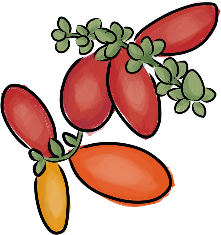 Melinjau - Portable Network Graphics Clipart (1024x1024), Png Download