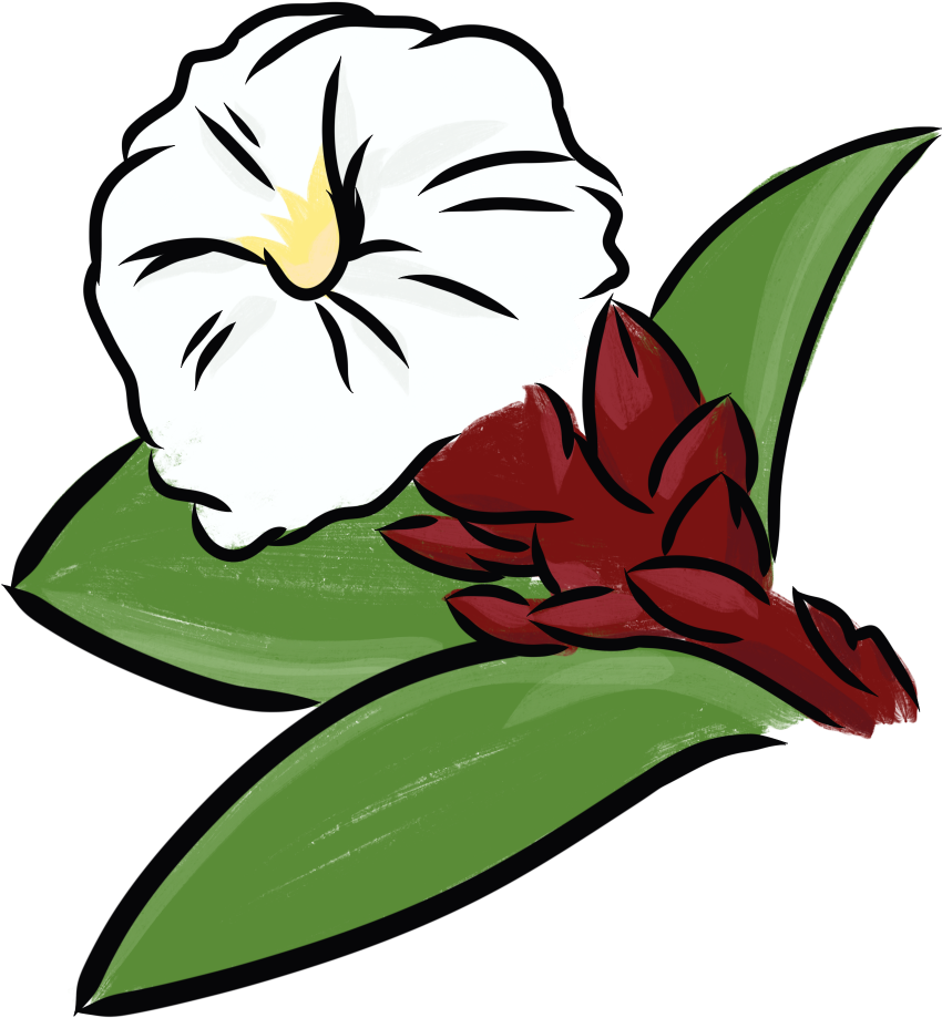 Crepe Ginger - Crepe-ginger Clipart (1024x1024), Png Download