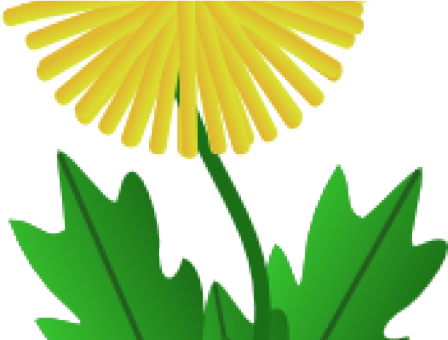 Dandelion Clipart Transparent Background - Dandelion Clip Art - Png Download (640x480), Png Download