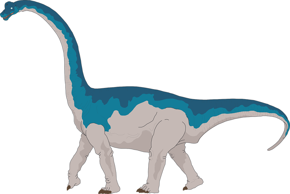 Collection Of Dinosaur Tail Cliparts - Brachiosaurus Clipart - Png Download (960x644), Png Download