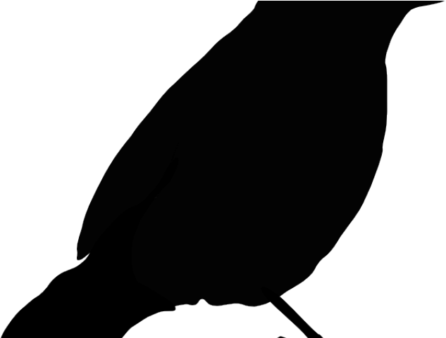 Silhouette Clipart Parrot - Black Bird Clip Art - Png Download (640x480), Png Download