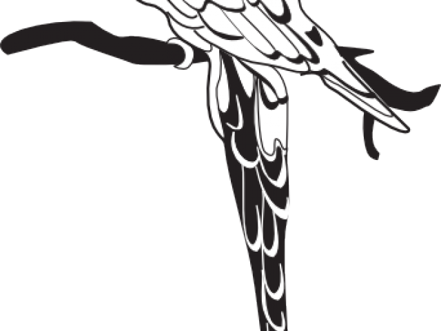 Monochrome Clipart Parrot - Parrot - Png Download (640x480), Png Download