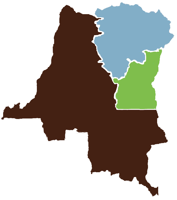 Home Movie Pic4 - Democratic Republic Of The Congo Shape Clipart (780x779), Png Download