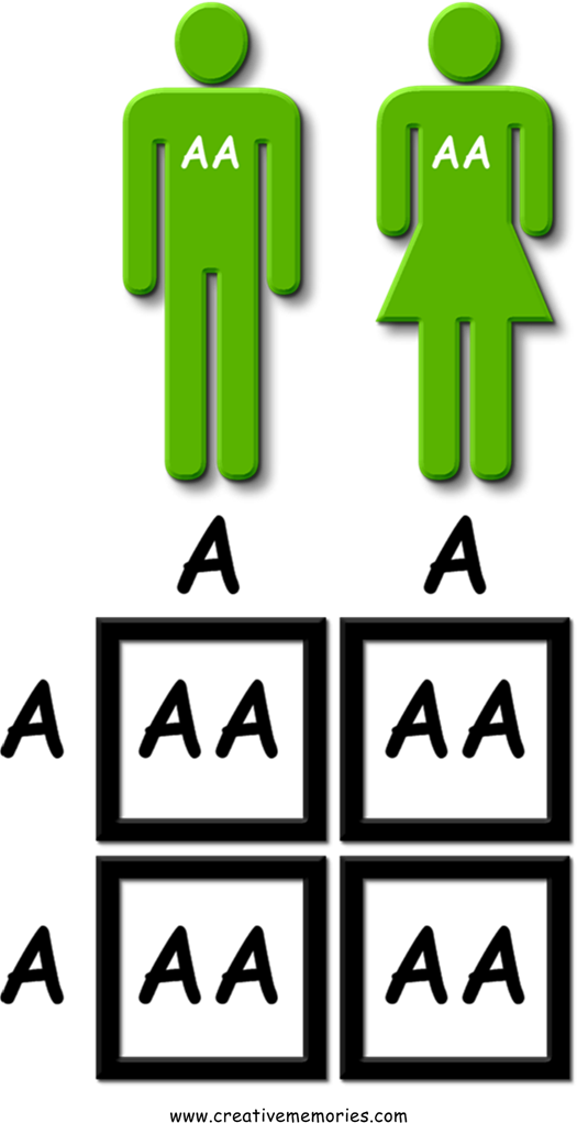 In This Genetic Distribution, Neither Parent Carries Clipart (525x1021), Png Download