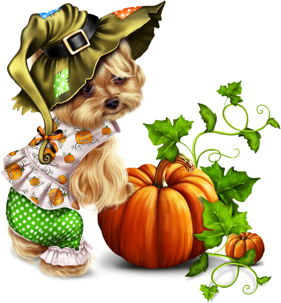 Little Pumpkin Yorkie - Yorkshire Terrier Clipart (640x640), Png Download