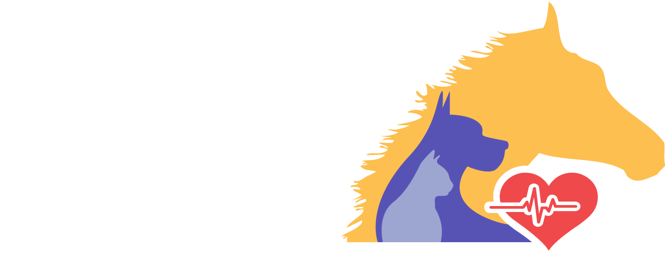 Bvh Emergency Logo - Baldivis Vet Hospital Clipart (1339x531), Png Download