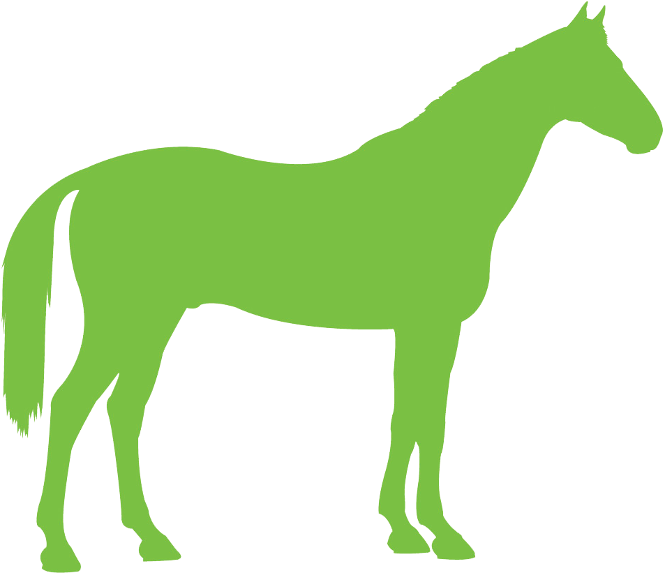 Congratulations To The Following Winners Of A Place - 4 H Horse Clipart (960x824), Png Download