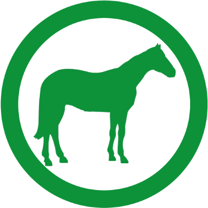 Stallion Clipart (700x700), Png Download