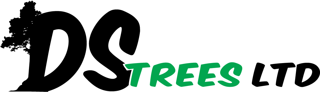 Auckland Tree Arborist - Unicorns And Other Mythical Horses Coloring Book [book] Clipart (1149x376), Png Download