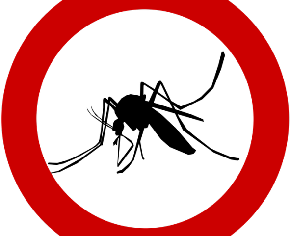 Mosquito Clipart Mosquito Control - Defend Natural And Deet Free Waterproof Insect - Png Download (640x480), Png Download