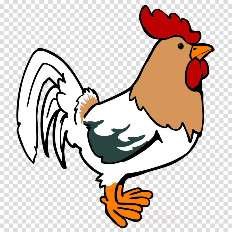 Chicken Cartoon Png Clipart Leghorn Chicken Foghorn - Rooster Cartoon Png Transparent Png (900x900), Png Download