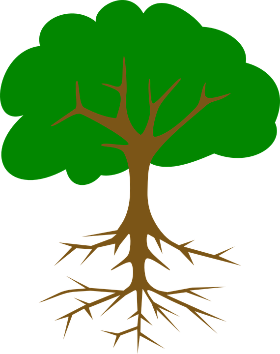 Turnip Clipart 29, Buy Clip Art - Png Download (570x720), Png Download