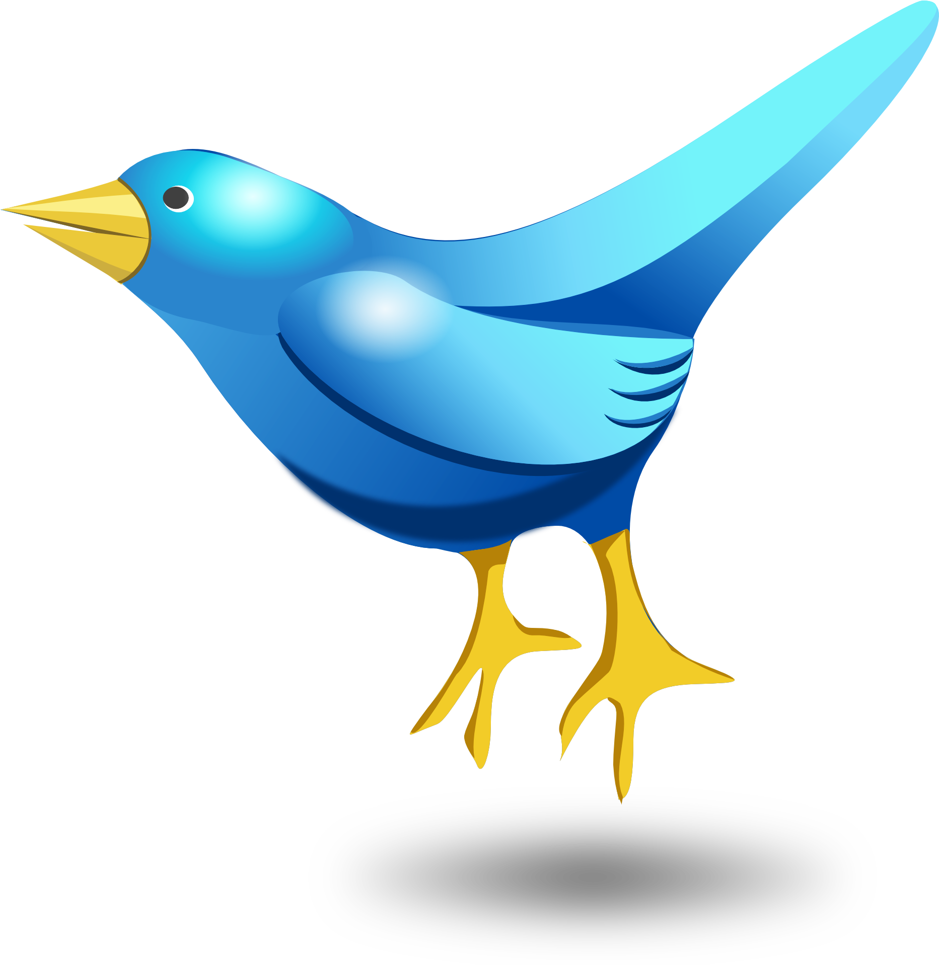 Bird Vector Png Clipart (1984x1994), Png Download