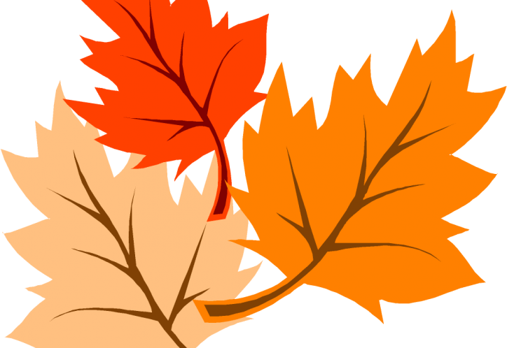 Fall - Dibujo De Hojas De Otoño Clipart (724x498), Png Download