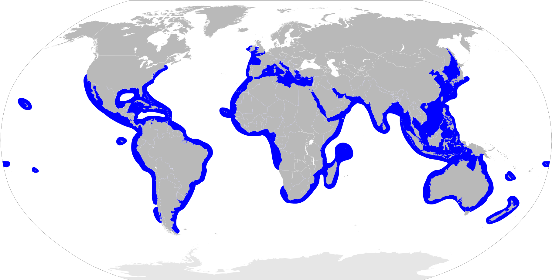 Hammerhead Shark Migration Map - Does Coal Come From In The World Clipart (2000x1015), Png Download