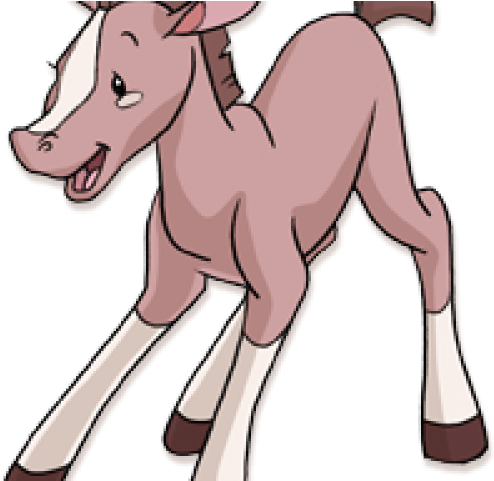 Foal Clipart Clip Art - Foal - Png Download (640x480), Png Download