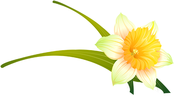 Clip Art - Free Vector Flowers - Png Download (555x555), Png Download