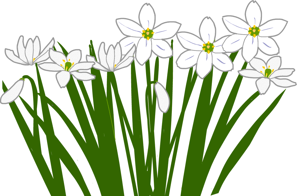 アマナ - Amana Holdings Inc. Clipart (1141x751), Png Download