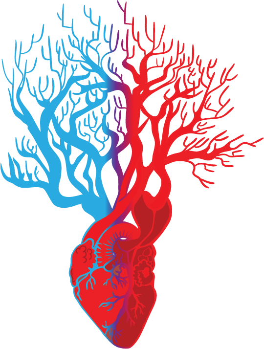 Interventional Cardiology & Endovascular Education - Illustration Clipart (540x714), Png Download