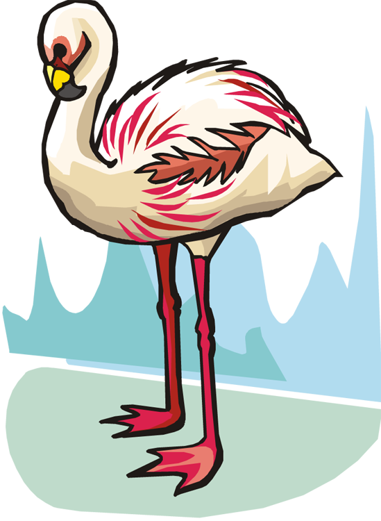 Flamingo Clipart - Clip Art - Png Download (549x750), Png Download